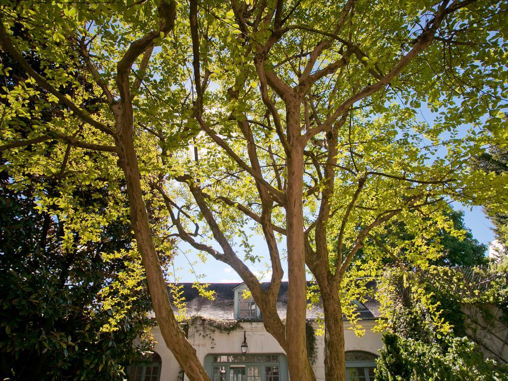 La Maison Jules Tours Exterior photo